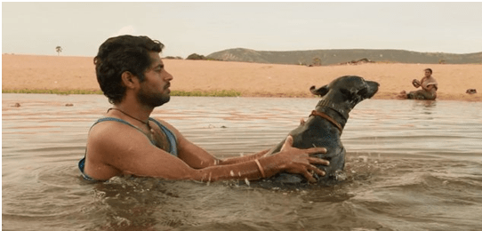 Pariyerum perumal movie download tamilrockers